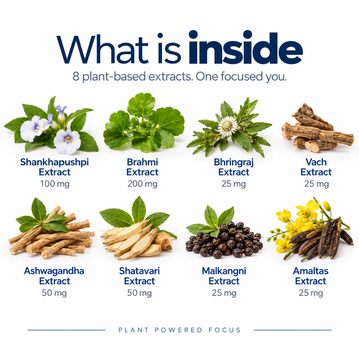 Focus — Brahmi & Ashwagandha Capsules