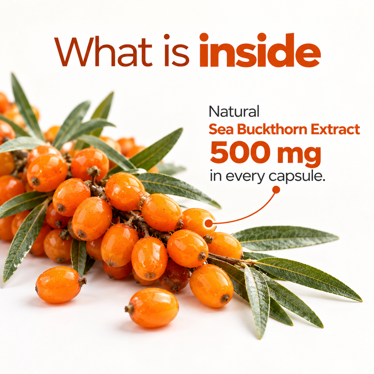 Skin Hydration — Sea Buckthorn Omega 7 Capsules
